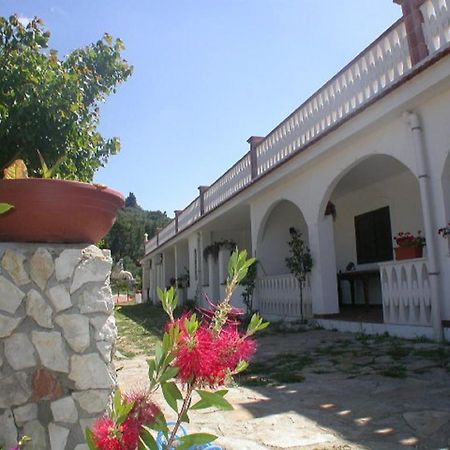 B&B La Formichina Peschici Bagian luar foto