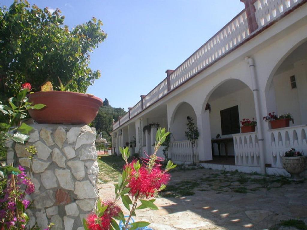 B&B La Formichina Peschici Bagian luar foto