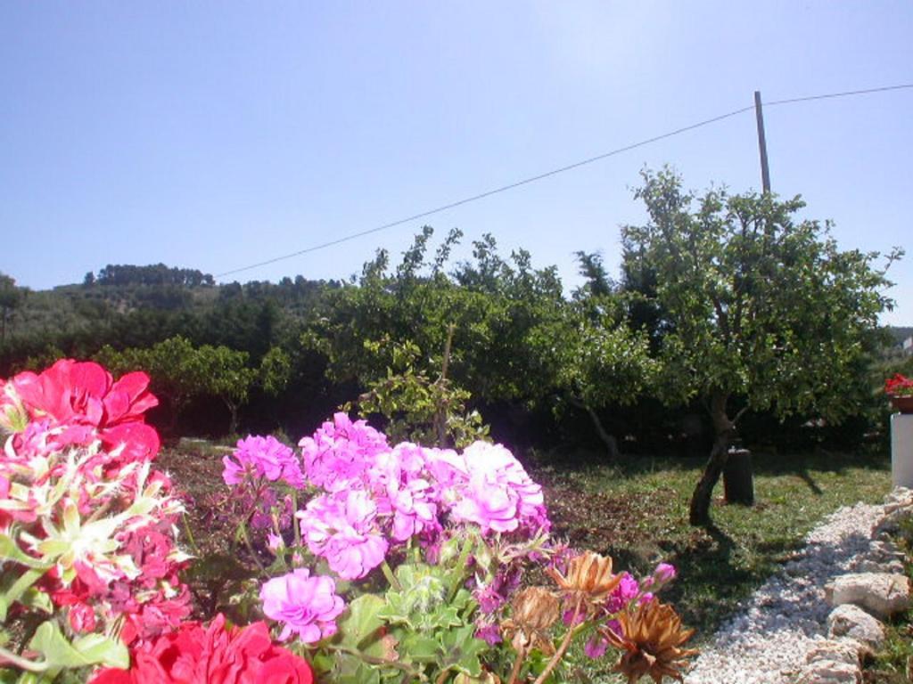 B&B La Formichina Peschici Bagian luar foto